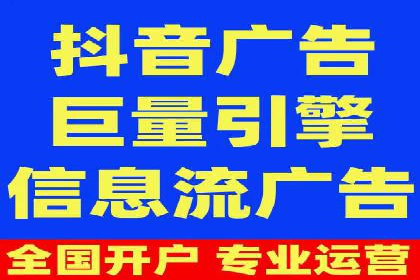竞价广告的投放策略：XX企业成功案例解析