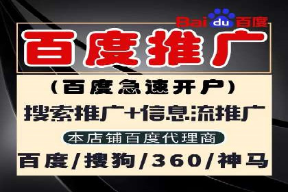 百度竞价广告的成功之路：企业运营案例集